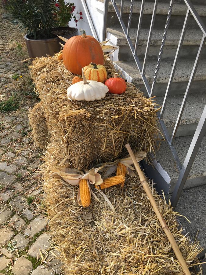 B&B Baeren Rüeggisberg Esterno foto